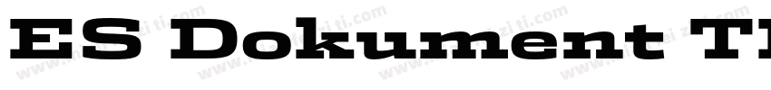 ES Dokument TRIAL Extended Bold字体转换